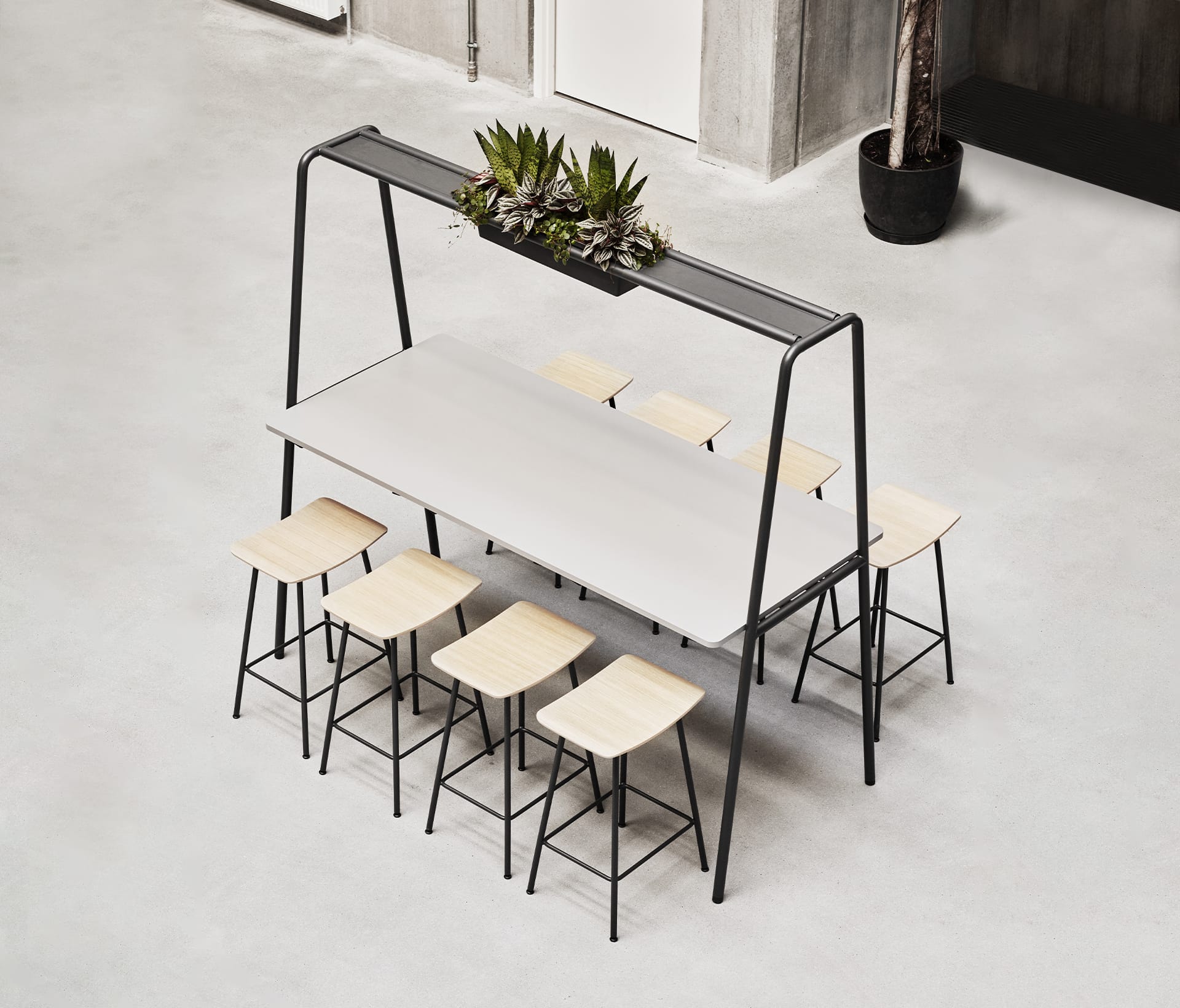 A table with office stools and a plant in the middle.