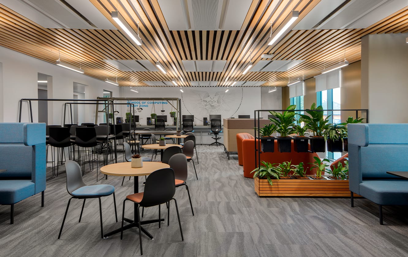 An office with blue office sofas, office tables and plants.