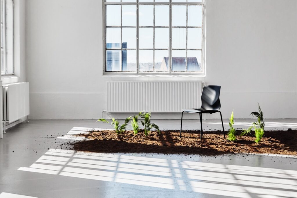 A patch of dirt and plants in a spacious room with a FourSure 44 chair